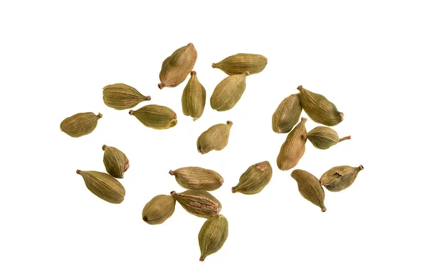 Cardamom Spice Made Seeds Plants Genera Elettaria Family Zingiberaceae Native — Foto de Stock