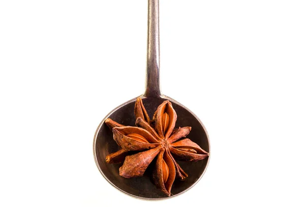 Star Anise Fruit Plant Called Illicium Verum Evergreen Native Vietnam — Zdjęcie stockowe