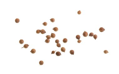 Kişniş maydanozla ilişkili geleneksel bir bitki olan Coriandrum sativum, bazen parlak ve narenciye kokulu kişniş olarak da anılır..