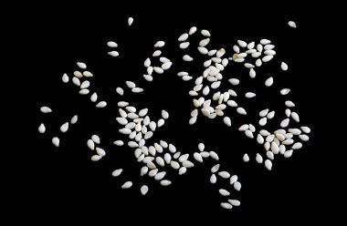 Sesame is a flowering plant, Sesamum indicum, in the genus Sesamum and the seeds are one of the oldest oilseed crops known, native to sub-Saharan Africa.