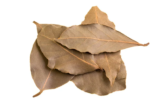 Bay Leaves Fragrant Leaf Laurel Tree Laurus Nobilis Commonly Used — стоковое фото
