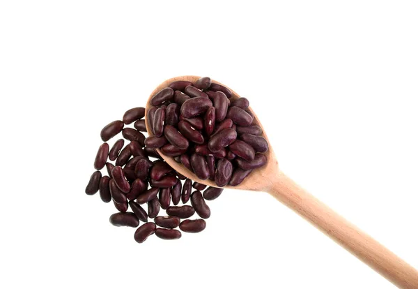 豆类是豆科植物的可食用种子 如豌豆 扁豆等 图上是深红色的肾豆 粗花呢 — 图库照片