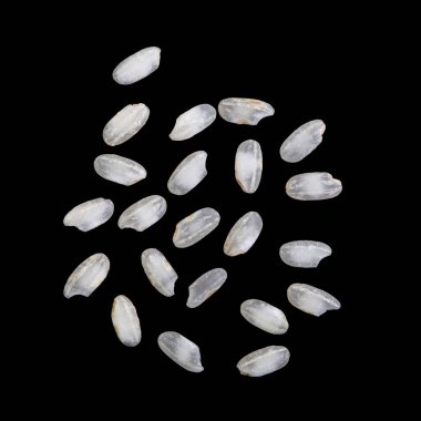 Arborio pilavı, İtalyan pilavı olup adını Po Valley 'deki Arborio kasabasından alır ve pilav yapımında kullanılır.. 