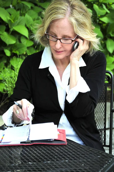 Mujer de negocios. — Foto de Stock