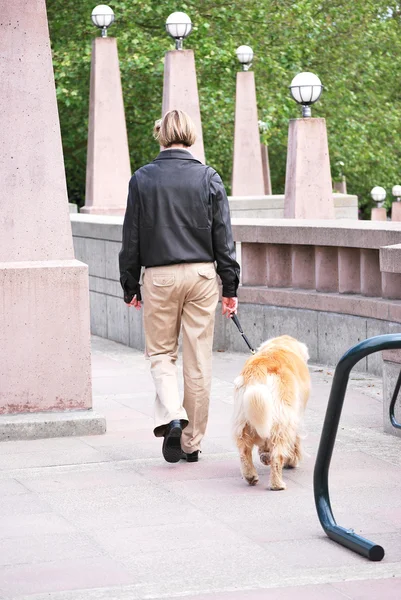 Paseadora de perros hembra . — Foto de Stock