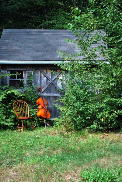 Akustisk cello. — Stockfoto