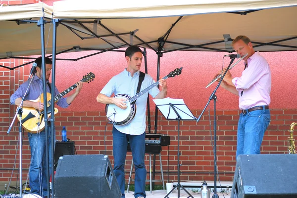 Jazz folk band. — Stock Photo, Image