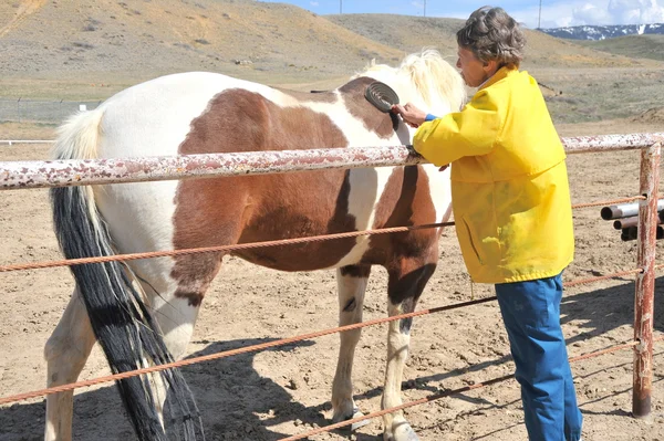 Mogen kvinna ranchägare. — Stockfoto