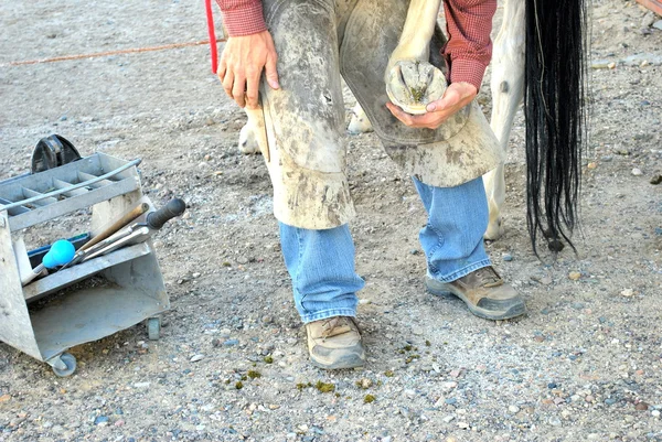 Чоловічий farrier . — стокове фото