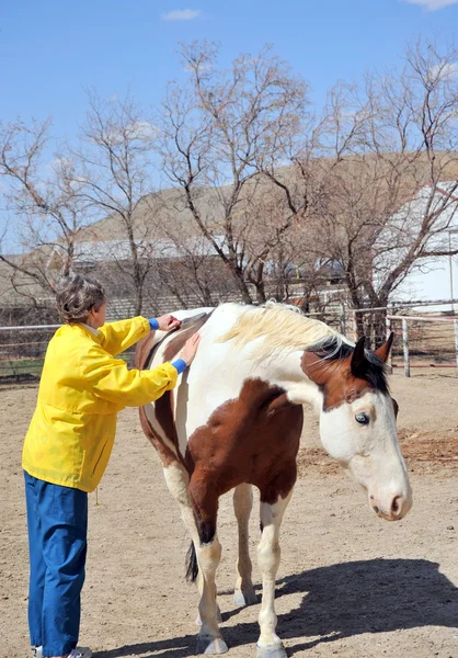 Female rancher. — Stock Photo, Image