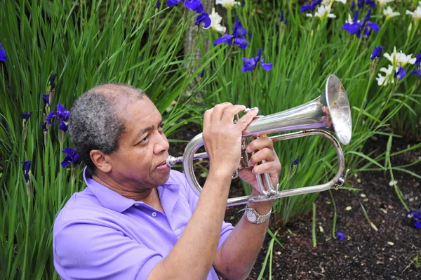 Jazz-muzikant. — Stockfoto