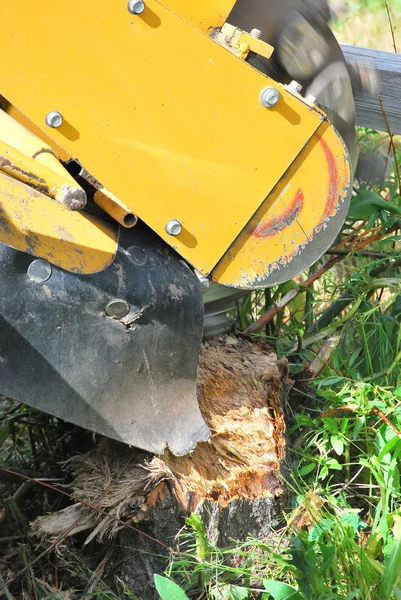 Machine à souche d'arbre . — Photo