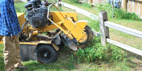 Boom stomp machine. Rechtenvrije Stockfoto's