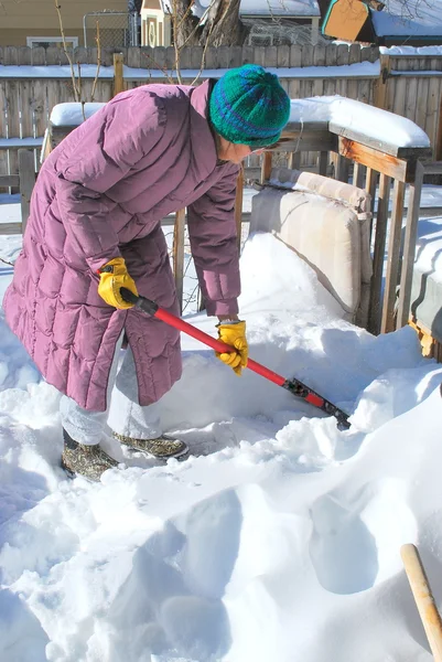 Nieve hembra paleando . — Foto de Stock