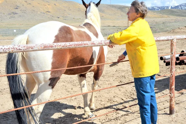 Female rancher. — Stock Photo, Image