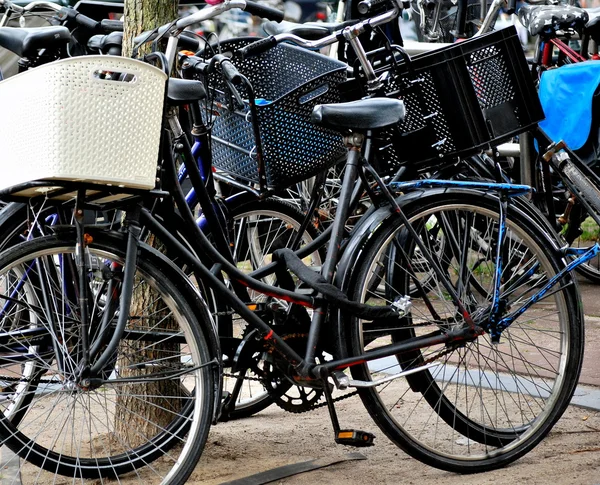 Amsterdam Bisikletleri. — Stok fotoğraf