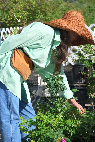 Jardinero femenino . — Foto de Stock