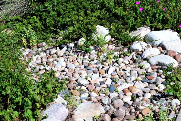 Jardín de rocas . —  Fotos de Stock