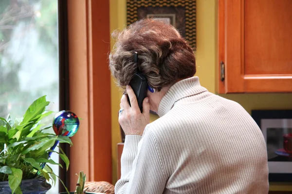 Volwassen Vrouwelijke Senior Zakendoen Vanuit Huis — Stockfoto