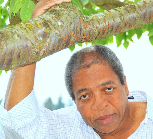 Afroamerikanische Männliche Senioren Entspannen Sich Freien — Stockfoto