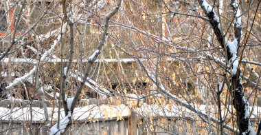 Kış mevsimi doğada sergilenir..