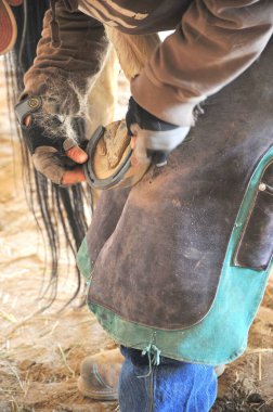 Farrier doing horseshoes in a stable indoors.