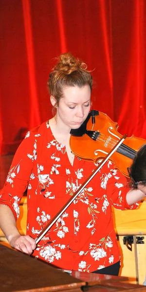 Sätt Fart April 2017 Usa Circa Kvinnlig Violinist Med Musiklektion — Stockfoto