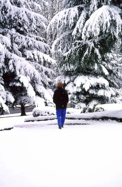 Kvinnliga Promenader Vintern Snö Utanför — Stockfoto