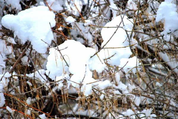 Scène Neige Hivernale Exposée Dans Nature Plein Air — Photo