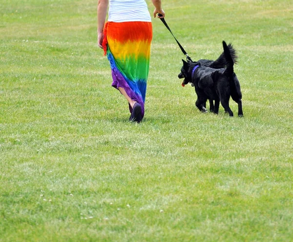 Lesbiana Hembra Paseando Sus Perros —  Fotos de Stock