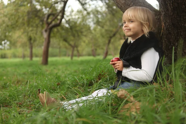 Милая маленькая 4-летняя девочка с яблоком, сидящая под деревом в парке — стоковое фото