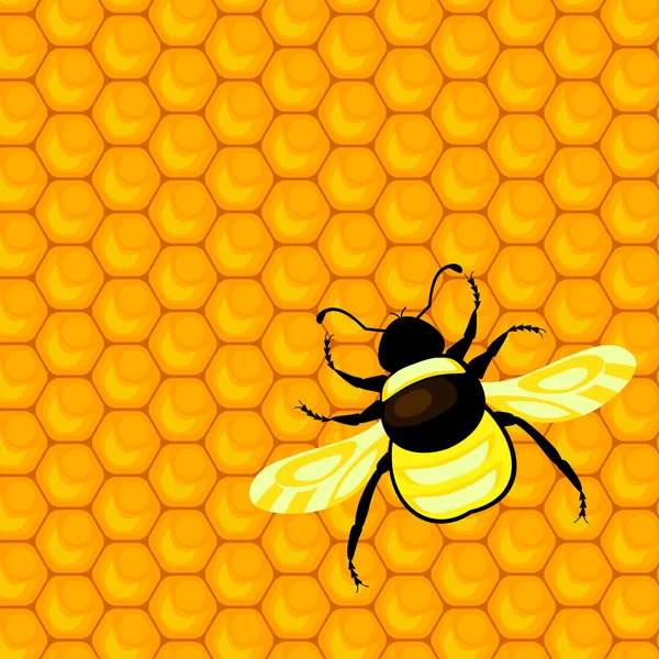 Bourdons et nids d'abeilles — Image vectorielle
