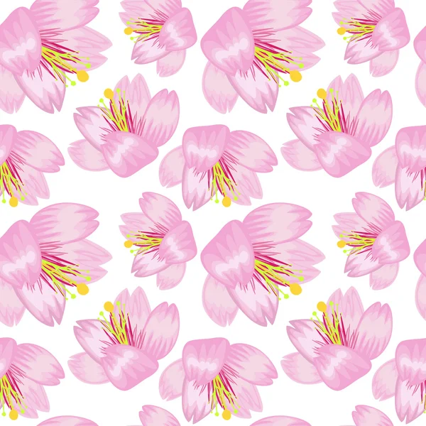 Seamless sakura pattern — Stock Vector