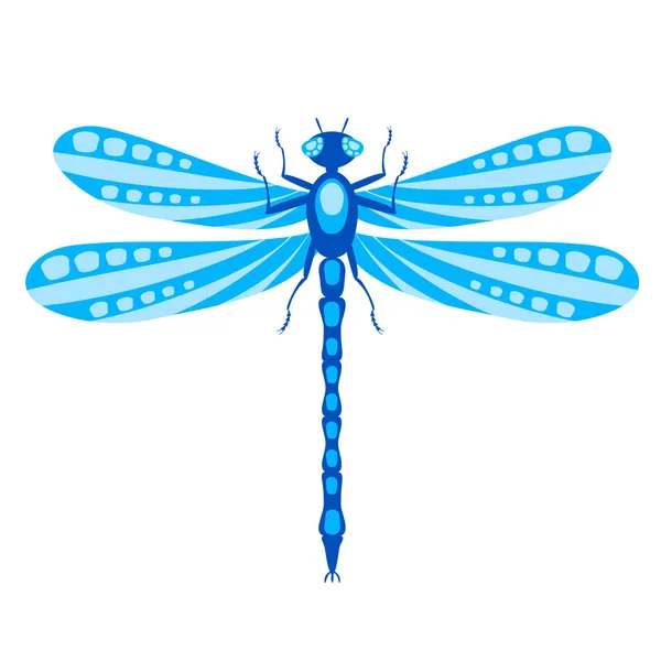 Dragonfly απομονωμένη σε λευκό — Διανυσματικό Αρχείο