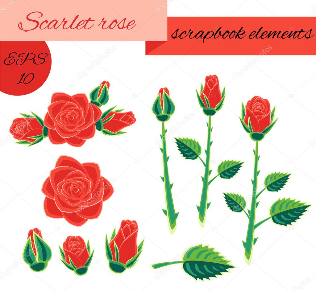 Scarlet rose scrapbook elements