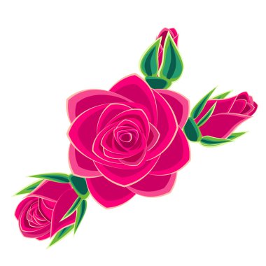 Pembe Gül beyaz arkaplanda izole edildi