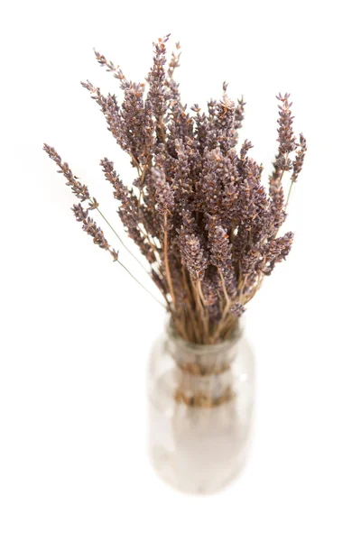 Pacote de lavanda seca em um frasco de vidro transparente no fundo branco — Fotografia de Stock