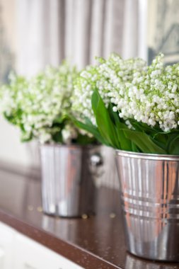 Vadideki zambak kovada