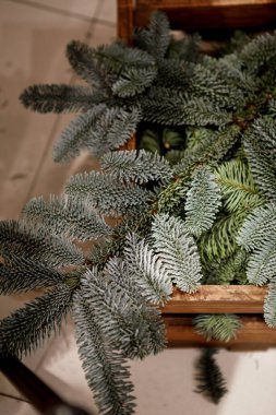 ev dekorasyonu için ladin dalları yığını