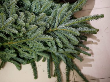 ev dekorasyonu için ladin dalları yığını