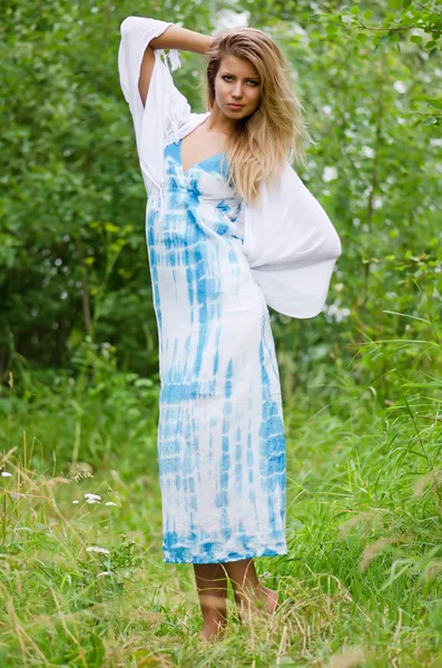 La bella donna in un abito blu nel campo — Foto Stock