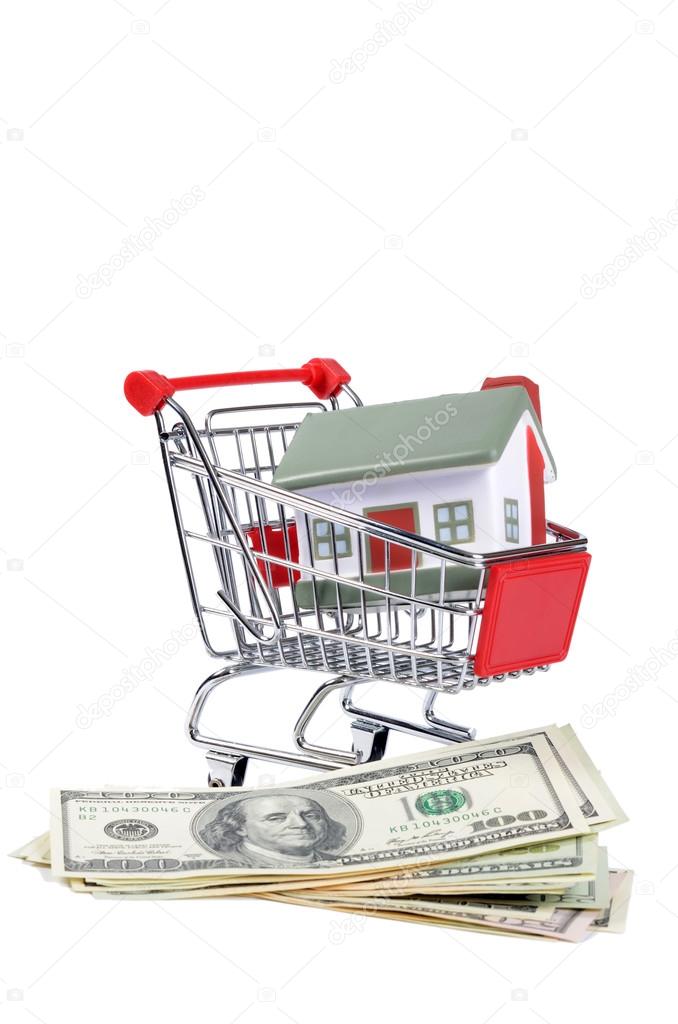 toy house for dollar banknotes as a background
