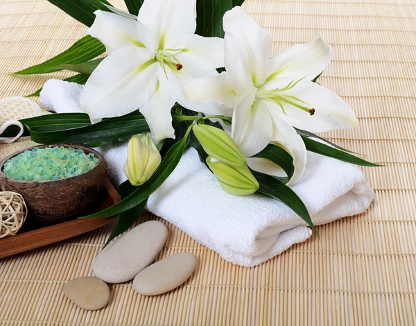 Set for spa-procedures on bamboo rug — Stock Photo, Image