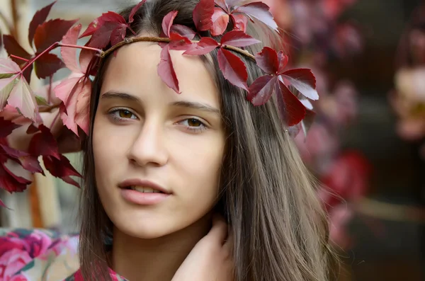 Portrét mladé dívky s podzimní listí Stock Fotografie