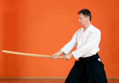 adam egzersiz aikido taşır