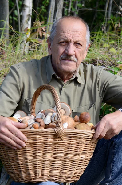 The man with basket of mushrooms — Stock Photo, Image