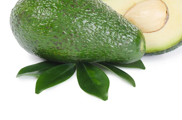 Verse avocado geïsoleerd op witte achtergrond — Stockfoto