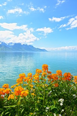 çiçek Dağları ve Cenevre Gölü üzerinden montreux dolgu karşı. İsviçre