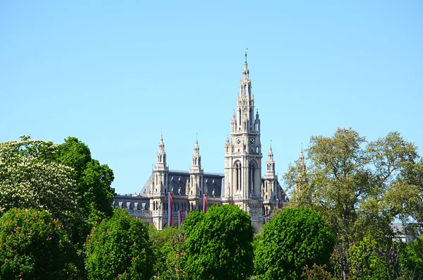 Visa av wiener rathaus från volksgarten, Österrike — Stockfoto