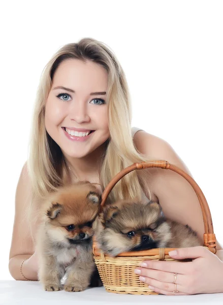 La hermosa chica con un spitz cachorro —  Fotos de Stock